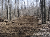 CabinFever 060